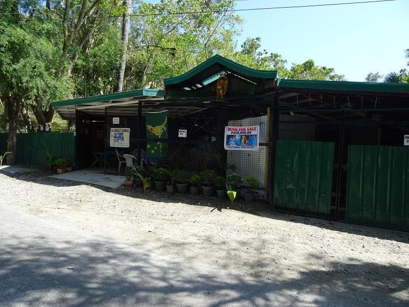 Happy Buddha Inn Puerto Galera Luaran gambar